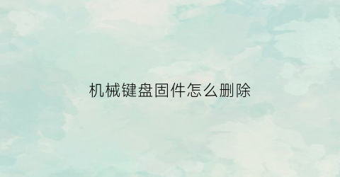 机械键盘固件怎么删除