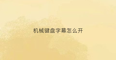 “机械键盘字幕怎么开(机械键盘zf)