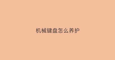 机械键盘怎么养护