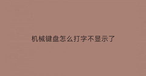 机械键盘怎么打字不显示了