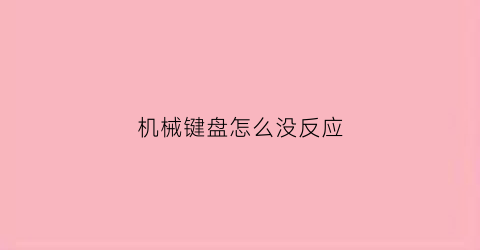 机械键盘怎么没反应