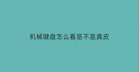 “机械键盘怎么看是不是真皮(如何鉴定机械键盘)