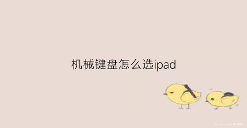 “机械键盘怎么选ipad(机械键盘ipad)