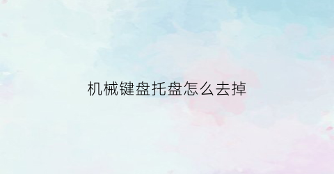 “机械键盘托盘怎么去掉(机械键盘托盘怎么去掉螺丝)