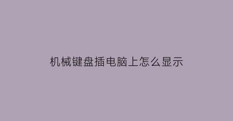 “机械键盘插电脑上怎么显示(机械键盘链接到电脑没有反应)