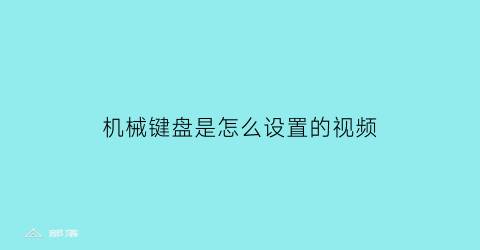 “机械键盘是怎么设置的视频(机械键盘zf)