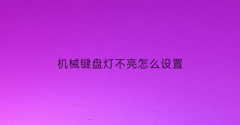 “机械键盘灯不亮怎么设置(机械键盘灯不亮怎么设置的)