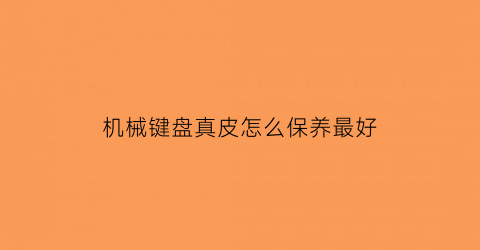 “机械键盘真皮怎么保养最好(机械键盘保护壳)