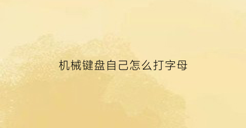 “机械键盘自己怎么打字母(机械键盘自己怎么打字母符号)