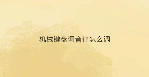 “机械键盘调音律怎么调(机械键盘怎么降低噪音)