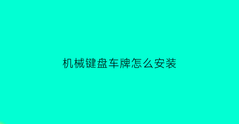 机械键盘车牌怎么安装(机械键盘车牌怎么安装视频)