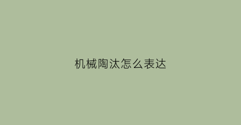 机械陶汰怎么表达