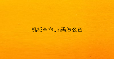 机械革命pin码怎么查