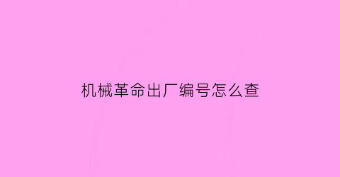 “机械革命出厂编号怎么查(机械革命怎么查型号)