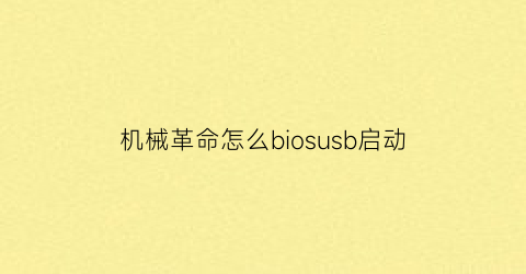 机械革命怎么biosusb启动