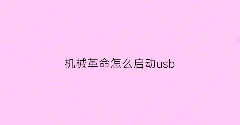 “机械革命怎么启动usb(机械革命怎么启动迁移后的系统)