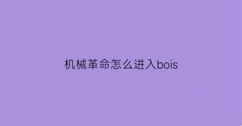 机械革命怎么进入bois