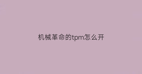 机械革命的tpm怎么开