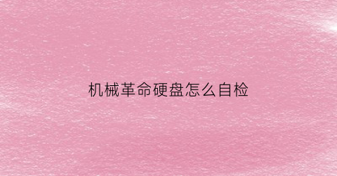 “机械革命硬盘怎么自检(机械革命固态硬盘怎么看)