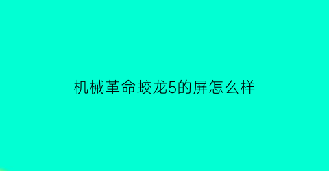 机械革命蛟龙5的屏怎么样