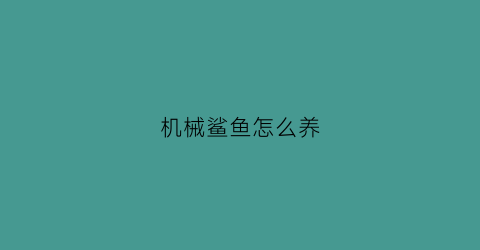 机械鲨鱼怎么养