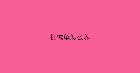 机械龟怎么养