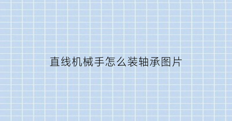 “直线机械手怎么装轴承图片(机械手直角坐标不走直线)