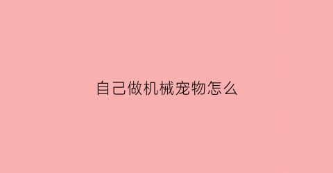 自己做机械宠物怎么