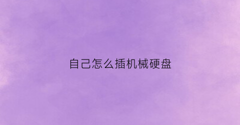 “自己怎么插机械硬盘(机械硬盘要怎么插)