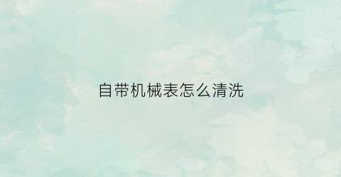 “自带机械表怎么清洗(机械表脏了怎么擦)