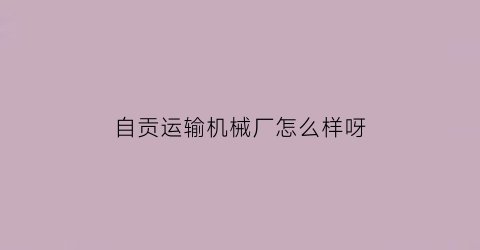 自贡运输机械厂怎么样呀