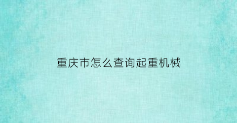 “重庆市怎么查询起重机械(起重工怎么查询)