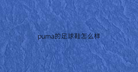 puma的足球鞋怎么样(pumaspiritii足球鞋)