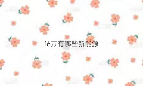 16万有哪些新能源(16万的汽车有哪些)