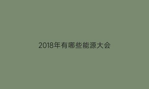 2018年有哪些能源大会