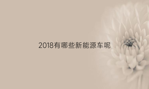 2018有哪些新能源车呢