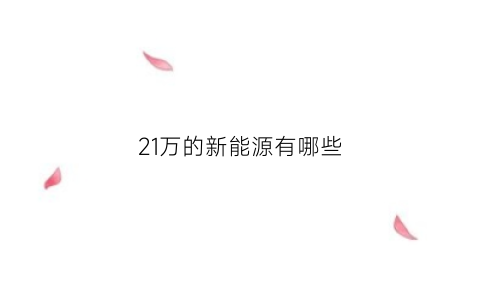 21万的新能源有哪些