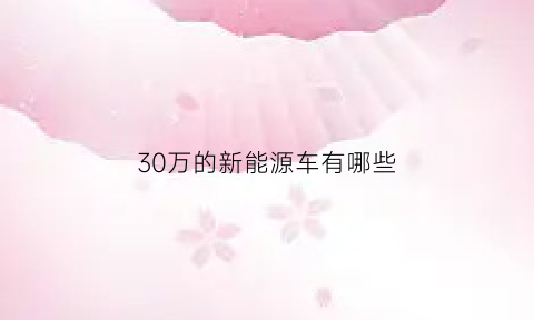 30万的新能源车有哪些(30万的新能源车有哪些牌子)