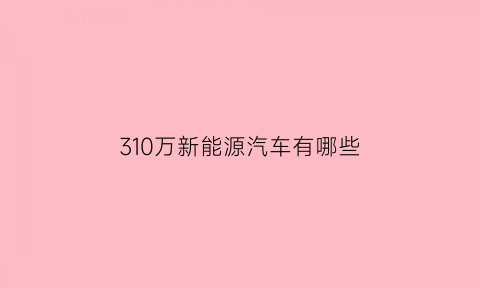 310万新能源汽车有哪些