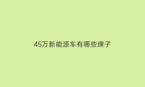 45万新能源车有哪些牌子