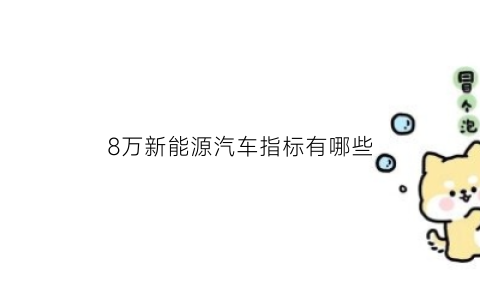 8万新能源汽车指标有哪些