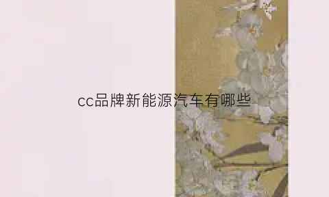 cc品牌新能源汽车有哪些