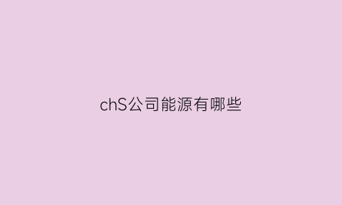 chS公司能源有哪些