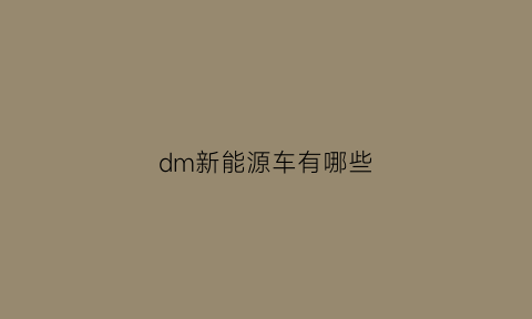 dm新能源车有哪些