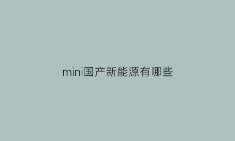 mini国产新能源有哪些