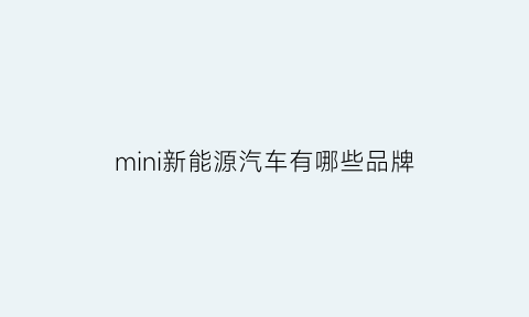 mini新能源汽车有哪些品牌(mini新能源汽车有哪些品牌车型)