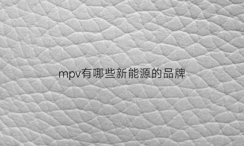 mpv有哪些新能源的品牌