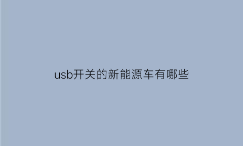 usb开关的新能源车有哪些