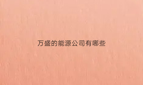 万盛的能源公司有哪些