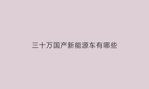 三十万国产新能源车有哪些(三十万国产新能源车有哪些牌子)